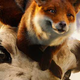 Illustration for article titled Lets rank the animals of Robert Downey Jr.s iDolittle /iposter and trailer